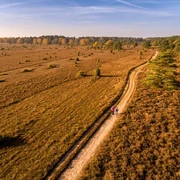 Luftaufnahme vom Tiefental Tiefental, Misselhorner Heide, Hermannsburg
