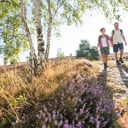 Heidschnuckenweg, der schönste Wanderweg Deutschlands Wandern auf dem Heidschnuckenweg durch die Lüneburger Heide