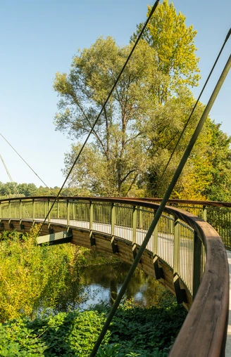 Aggerbogen Schwungvolle Holzbrücke, eingebettet in grüner Flusslandschaft unter klarem Himmel in Lohmar.