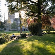 Schlosspark Detmold Sonnenuntergang im Schlosspark Detmold, mit grünen Wiesen, Bäumen und dem historischen Gebäude im Hintergrund.
