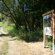 Infotafel am Waldmythenweg <p>Waldweg mit Infotafel und Bäumen, sonniger Tag, ländliche Umgebung in Waldbröl.</p>