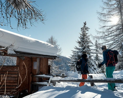 Ungestört die einheimische Tierwelt im Aletschgebiet beobachten. Ungestört die einheimische Tierwelt im Aletschgebiet beobachten.