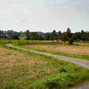 Aussichtspunkt Theegartener Kopf