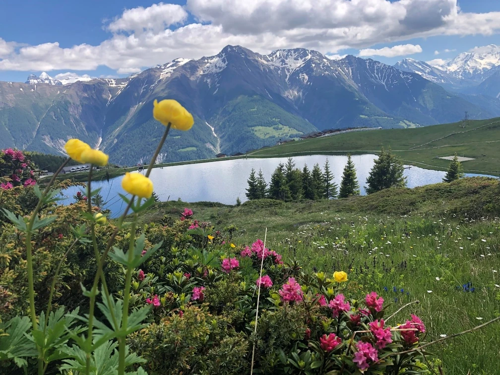 wandern7-aletsch-arena-klaus-minnig.jpg