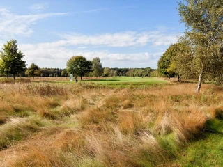 CC0 - Golfclub Bokensdorf6 .jpg Grünfläche auf dem Gelände der Golfsportanlage Bokensdorf vom Golfclub Wolfsburg