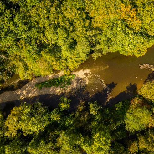Aggerbogen Waldlandschaft aus der Vogelperspektive mit Fluss und sandigem Ufer in sonnigem Licht.