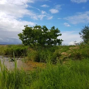 Flache Berge weites Moor