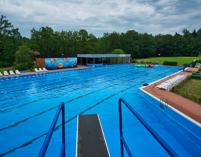 Schwimmerbecken  Ein großzügiges, blaues Schwimmerbecken umgeben von Bäumen lädt zum Entspannen und Schwimmen ein.