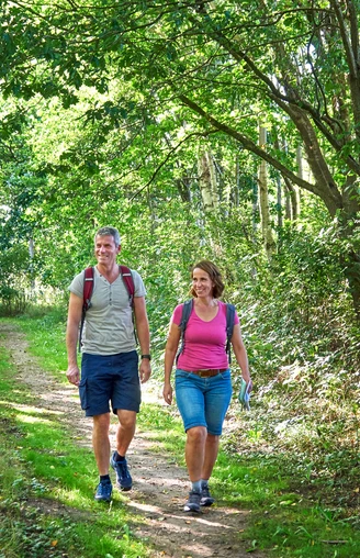 Wanderroute Mötjensee und Seeadler