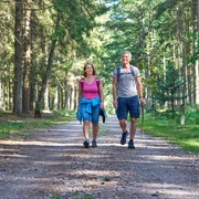 Rund um Weddingstedt