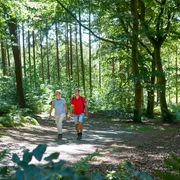 Rundwanderweg Burg-Forst Christianslust