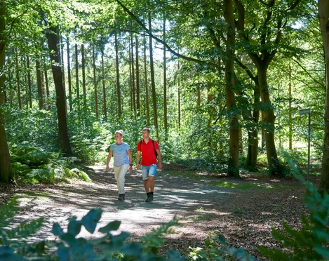 Rundwanderweg Burg-Forst Christianslust