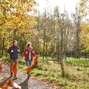 Steinzeitpark Lisbeth ehrn Diek und Gieselautal
