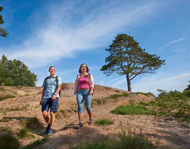 Vom Donner Kleve in die Gudendorfer Heide