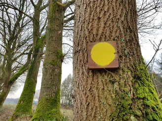Eichholz-Runde