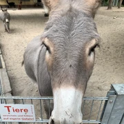 Willkommen in der Fauna Solingen! Willkommen in der Fauna Solingen!
