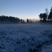 Ohligser Heide