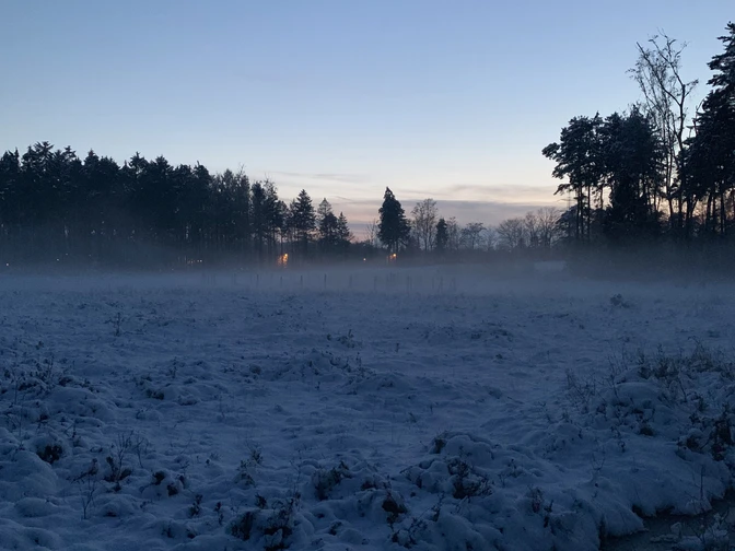 Ohligser Heide