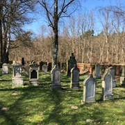 Jüdischer Friedhof Liebenau Grabsteine aus verschiedenen Epochen auf dem Jüdischen Friedhof Liebenau inmitten lichter Wälder.