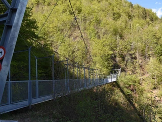 haengebruecke-oberried-ebligen-brienzersee-ganze-bruecke.jpg