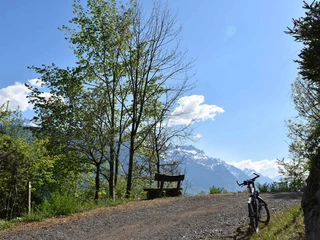 wanderweg-bikeweg-brienz-ebligen-haengebruecke-oberried.jpg