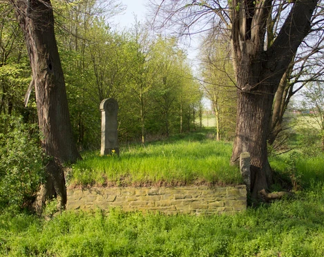 Historischer Swistübergang  2018 Frühling Swistal