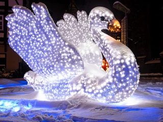 Lichterzauber im Schnee, Schwan Lichterzauber im Schnee, Schwan