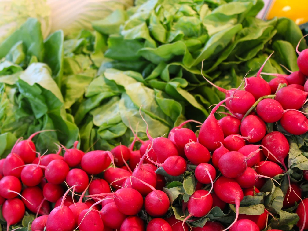 Wochenmarkt Lahde Frisches rotes Radieschen-Bündel vor üppigen Spinatblättern auf einem Wochenmarkt in Lahde.