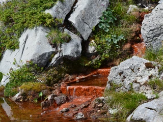 Rote Quelle Grimmiwasser