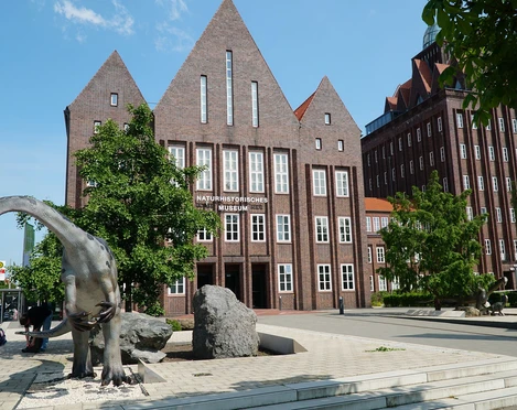 Museumsvorplatz_Plateosaurus_SNHM.jpeg