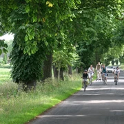 Ulenburger Allee Radfahrer und Fußgänger genießen eine von großen Bäumen gesäumte Allee bei sonnigem Wetter.
