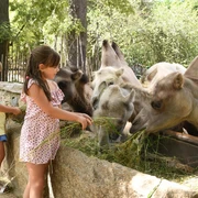 Tierpark Görlitz