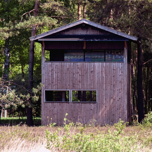 Kleiner Aussichtsturm Neustädter Moor