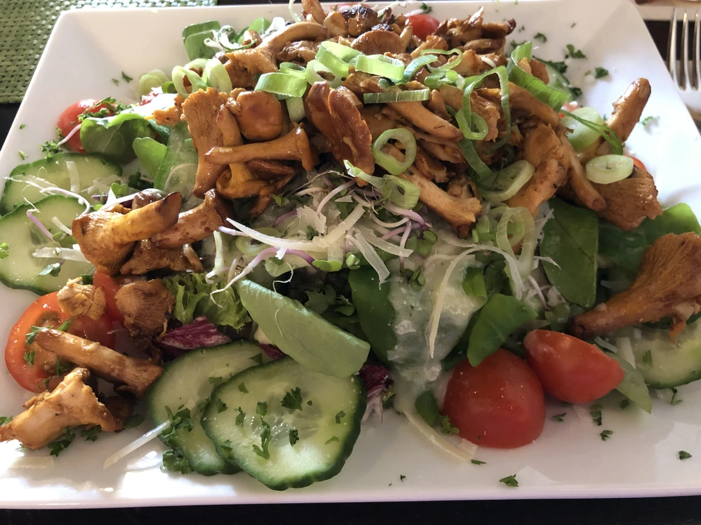 Salat mit Pfifferlingen Pfifferlingsalat mit Frühlingszwiebeln, Gurken, Tomaten und Kräutern auf rechteckigem weißen Teller.