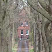 Ein Pfad führt durch eine Allee hoher Bäume direkt zu einem Backsteingebäude mit roten Dachziegeln.