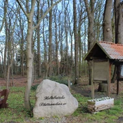 Freilichtbühne Holtebüttel Freilichtbühne mit rustikalen Holzbänken und einem Stein, umgeben von einem lichten Wald.