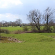 Turmhügelburg Hagen-Grinden Turmhügelburg Hagen-Grinden, umgeben von grüner Landschaft und kargen Bäumen unter bewölktem Himmel.