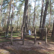 Waldspielplatz Dörverden Ein Waldspielplatz in Dörverden mit turnbaren Holzgeräten zwischen hohen, schlanken Kiefern.