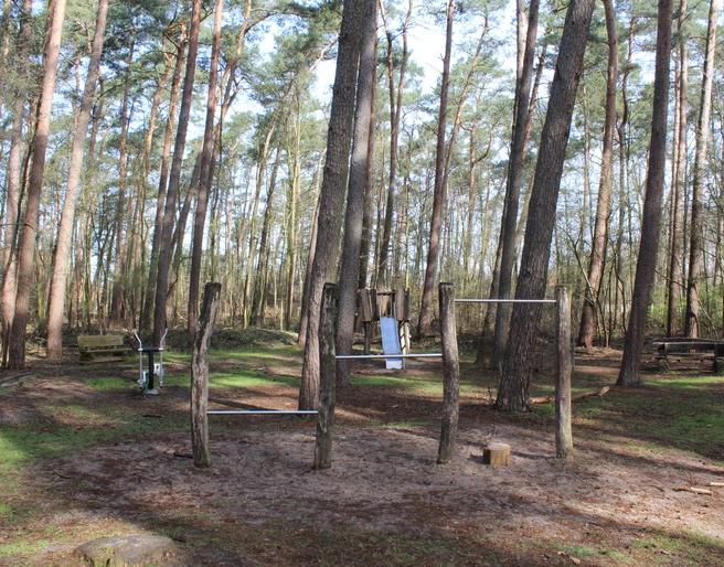 Waldspielplatz Dörverden Ein Waldspielplatz in Dörverden mit turnbaren Holzgeräten zwischen hohen, schlanken Kiefern.