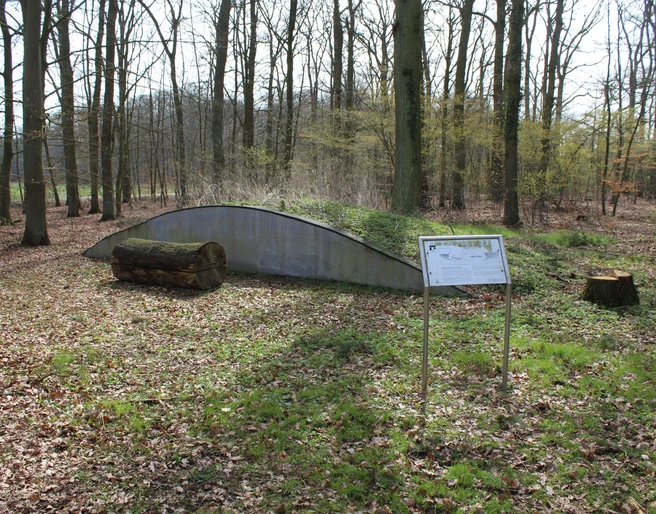 Hügelgrab Diensthop Ein überwachsener Hügel im Wald, beschrifteter Infostand und Baumstammbank im Vordergrund.