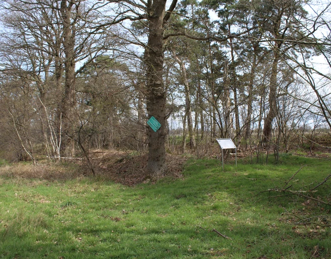 Landwehr bei Hülsen Grün bewachsene Uferlandschaft bei Hülsen mit Infotafeln, umgeben von Laubbäumen und Wiesen.