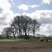 Grabhügel auf den Heilohkoppeln