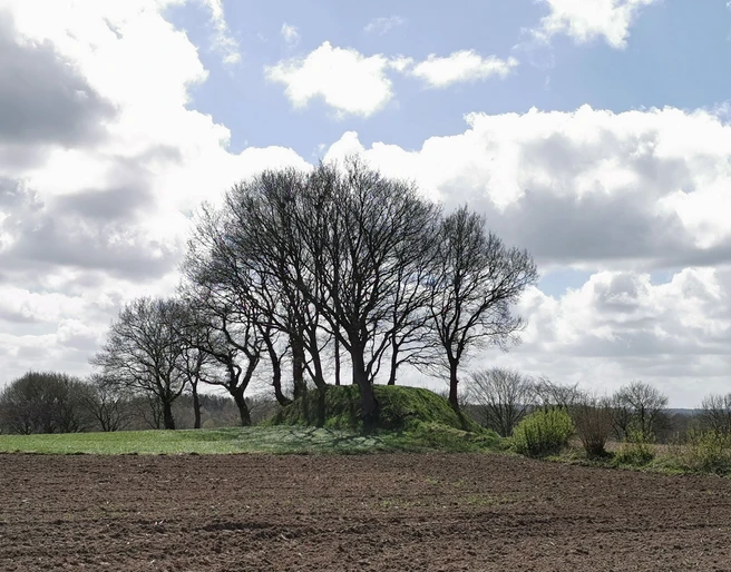 Grabhügel auf den Heilohkoppeln
