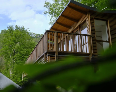 Baumhaus "Elvis" - Sonnenresort Ettershaus  Baumhaus "Elvis" - Sonnenresort Ettershaus