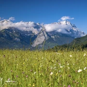 DSC_4996-Edit.jpg