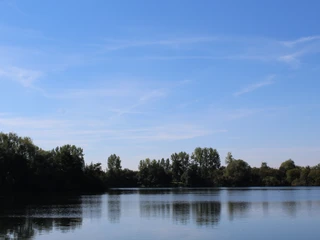 Ein ruhiger See mit bewaldeten Ufern unter blauem Himmel, der leichte Wolkenformationen schmückt.