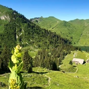 kulinarik-trail-stockhorn-oberstockensee-oberstockenalp.jpg