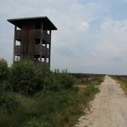 Holzturm mit Fenstern steht neben einem Schotterweg inmitten grüner Büsche unter bewölktem Himmel.
