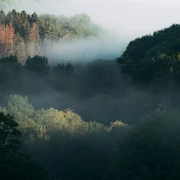 Wälder auf der Dreitälertour