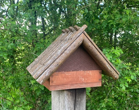 Stemephaus Drögenberg copyright Karina (5).JPEG